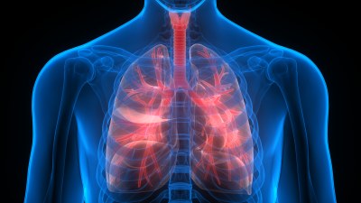 Lung Health, Infections, and Vaccine Development